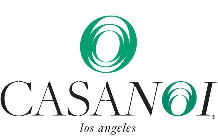 Casanoi logo
