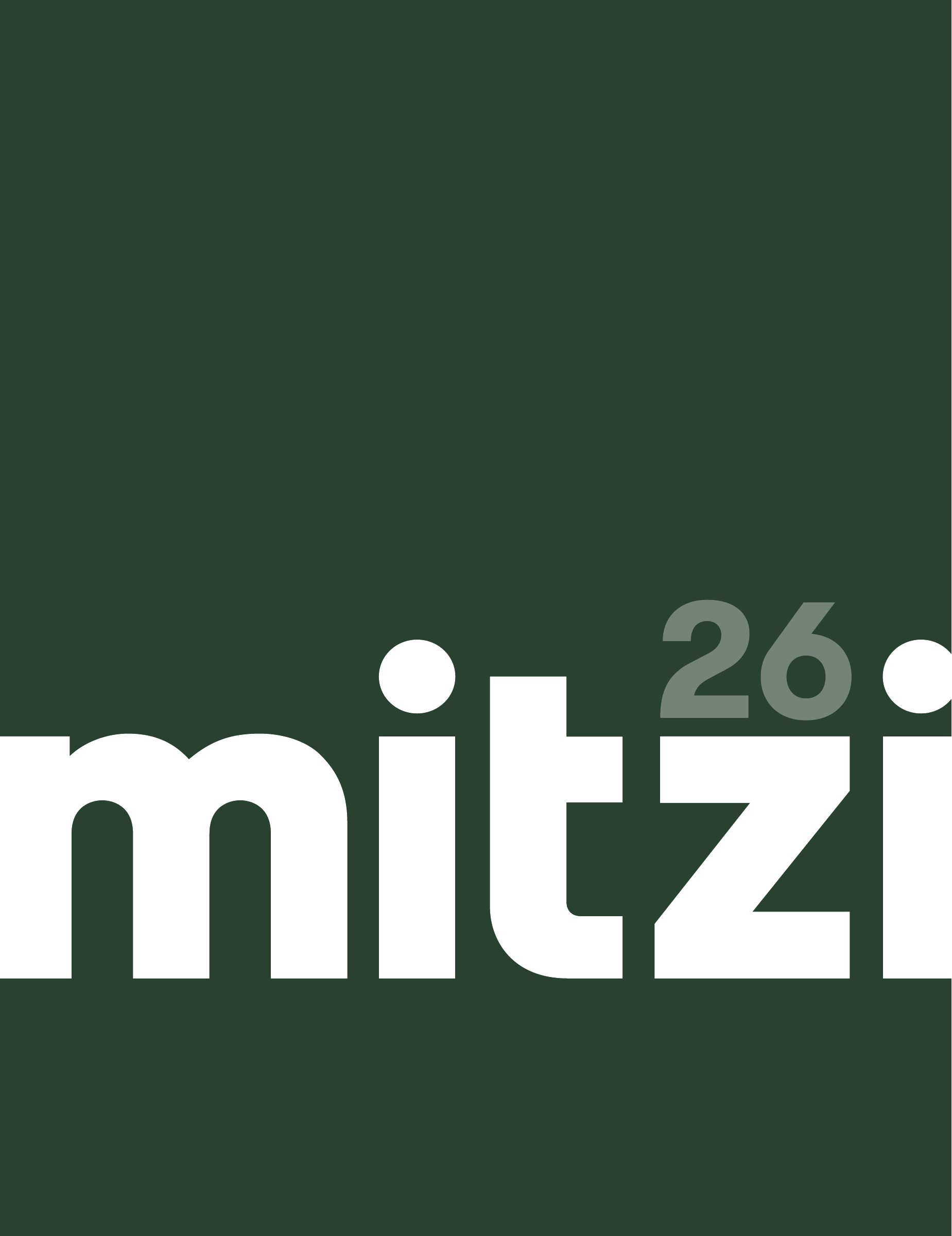 2026 Mitzi Master Catalog cover
