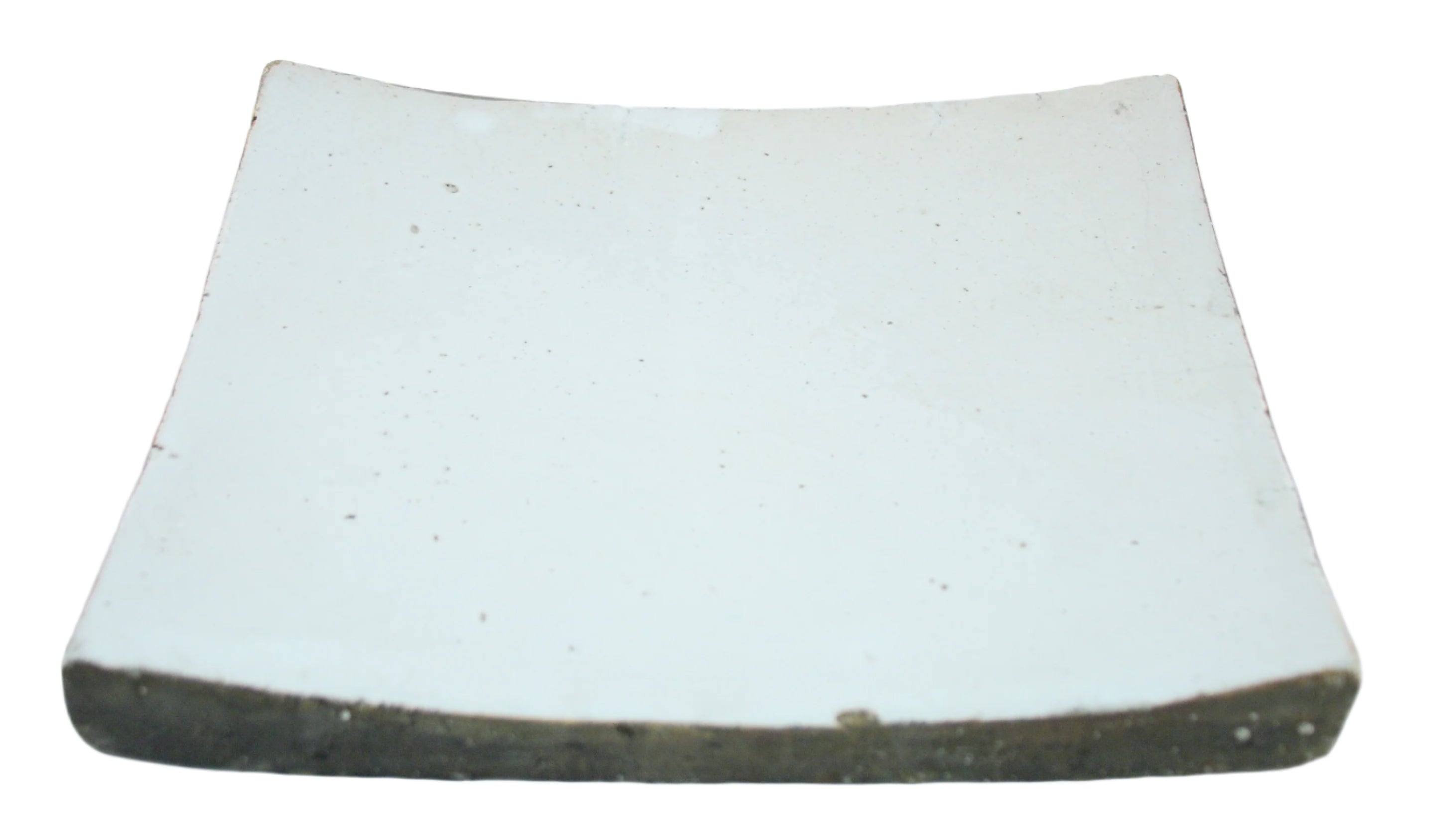 Dish