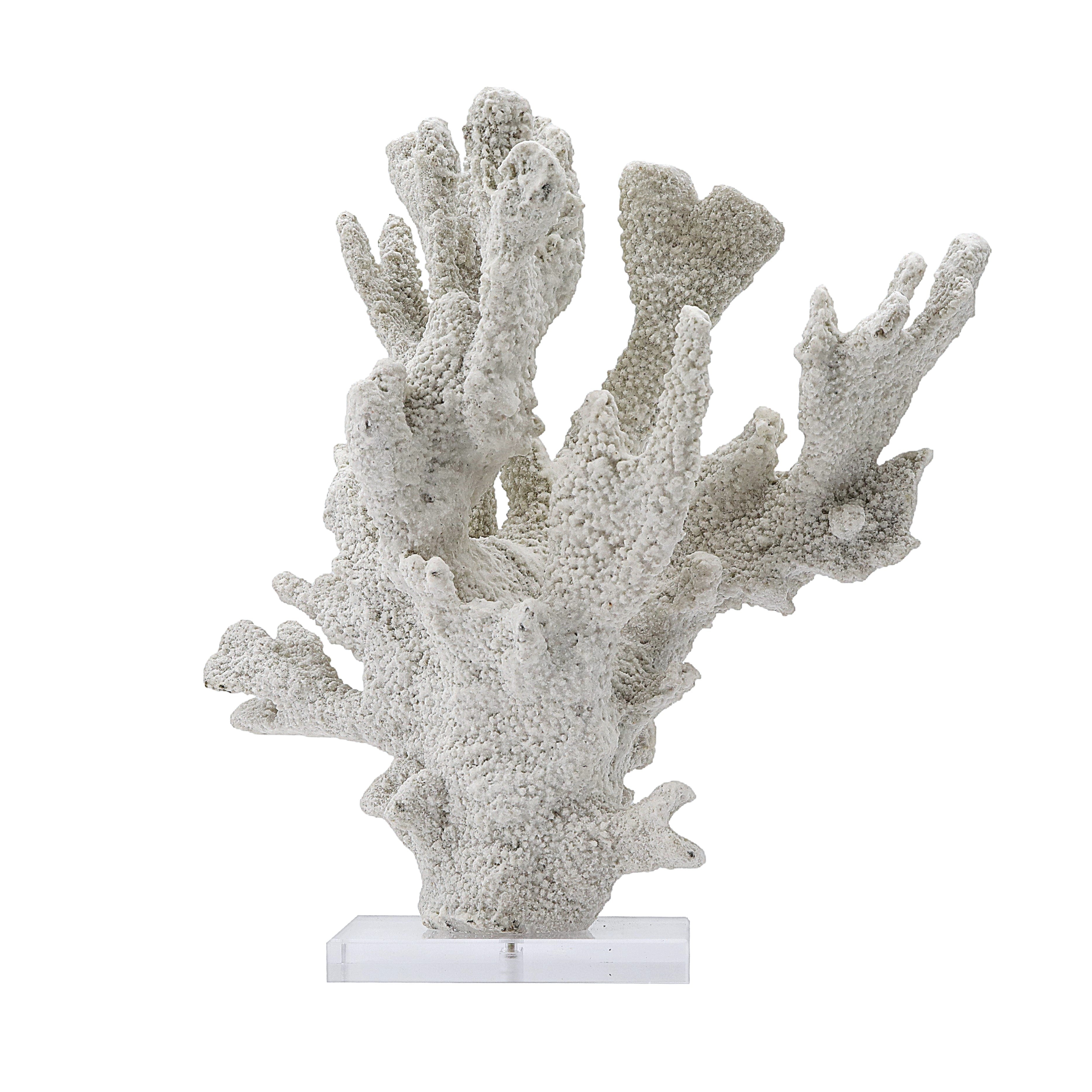 Seabreeze Coral Sculpture on Acrylic Base