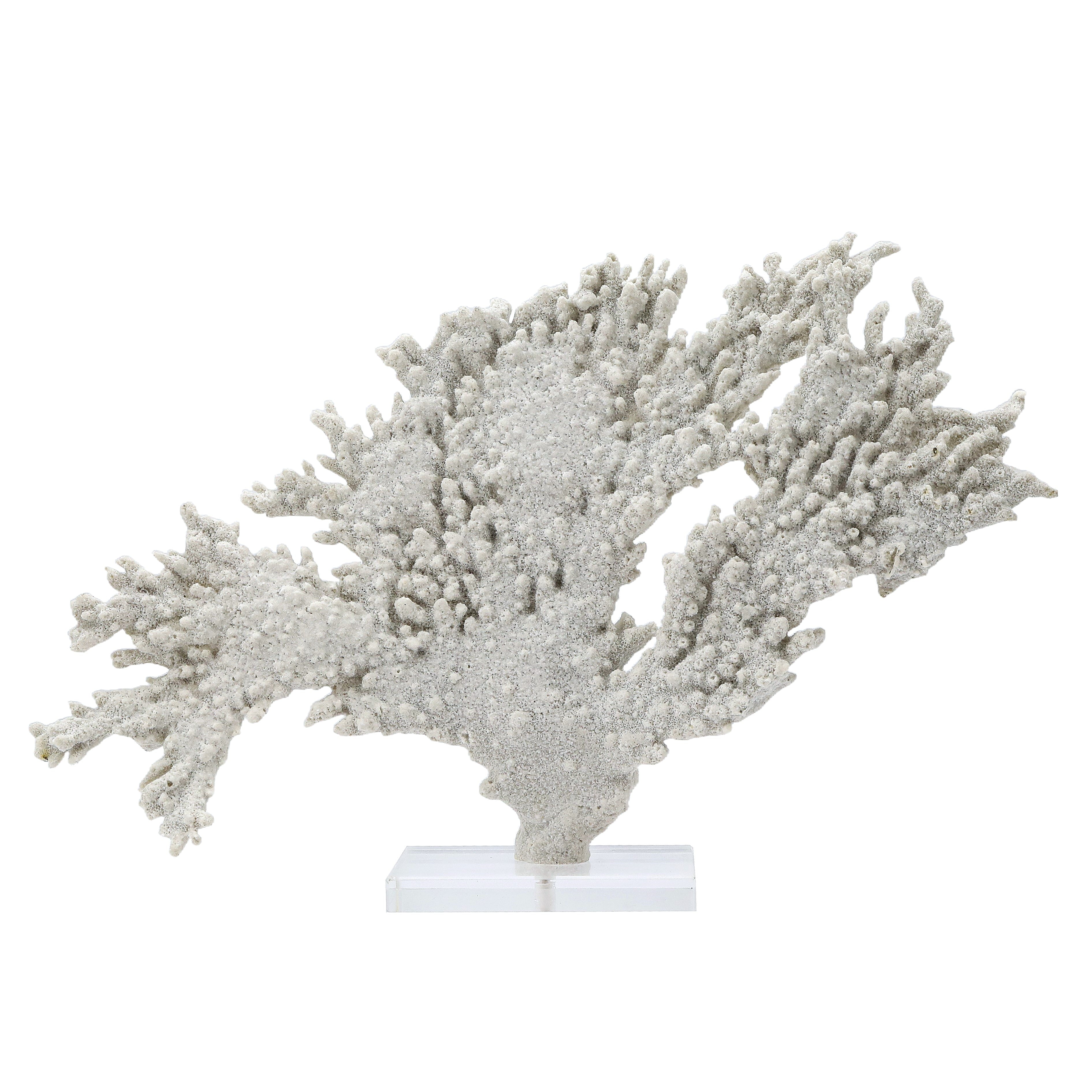 Shorecrest Coral Sculpture