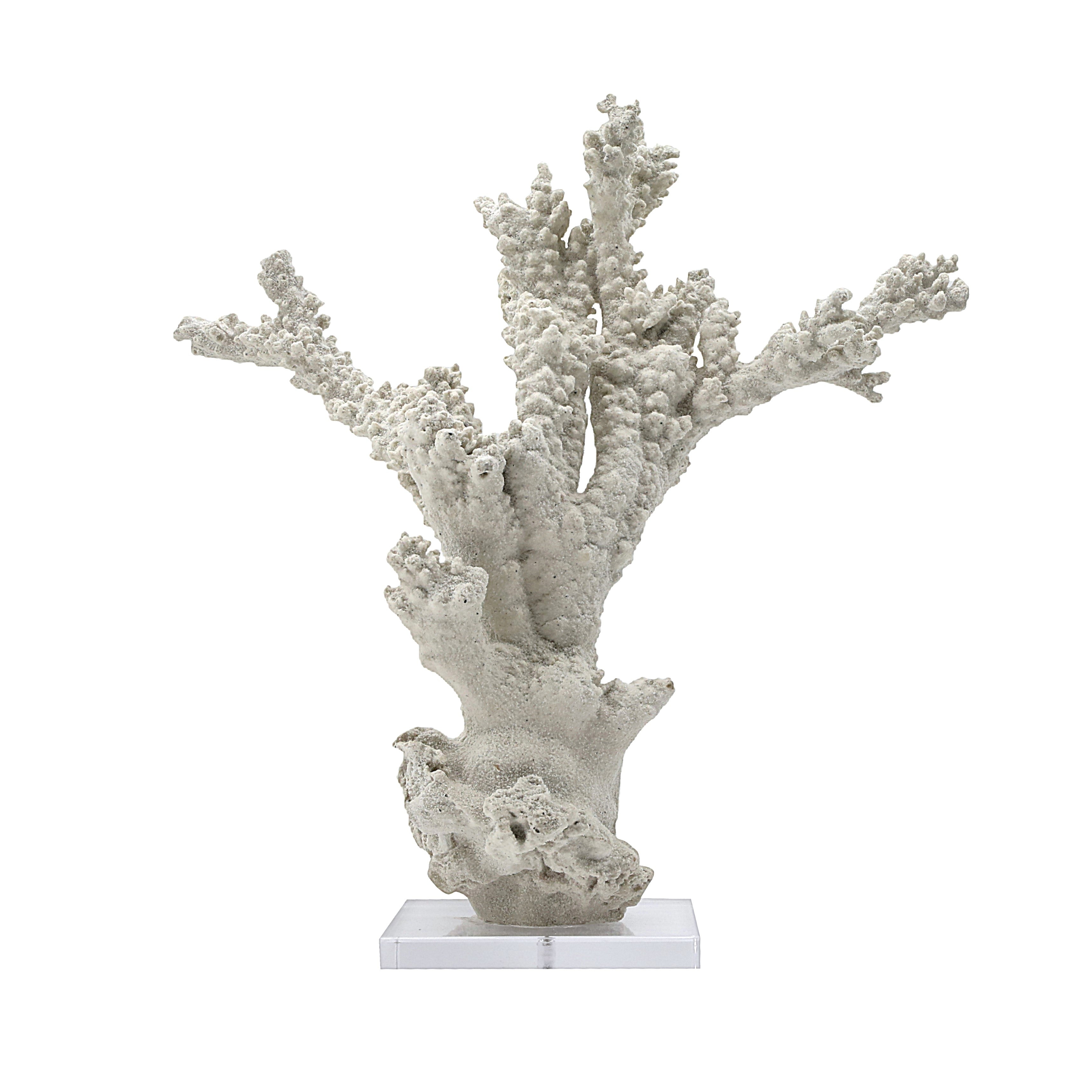 Coastal Coral Sculpture on Acrylic Base
