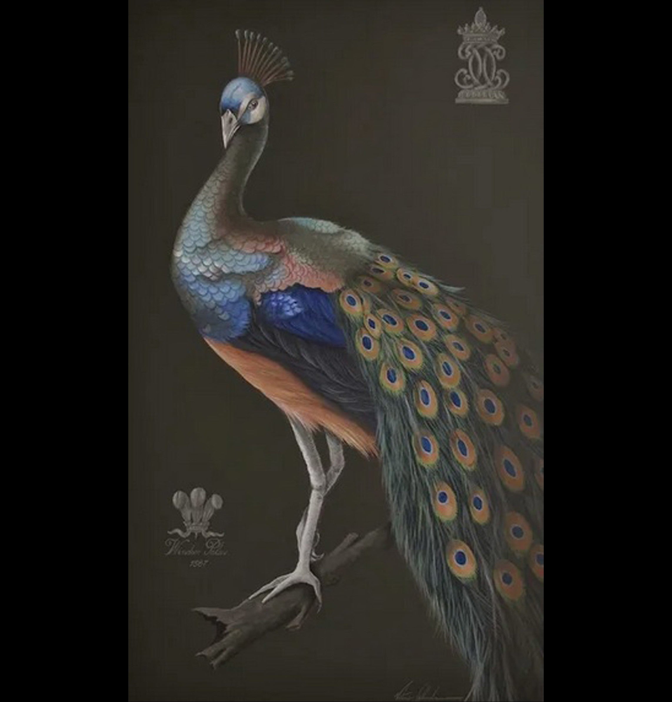 The Peacock of Windsor Palace Gardens I size 36" X 60"