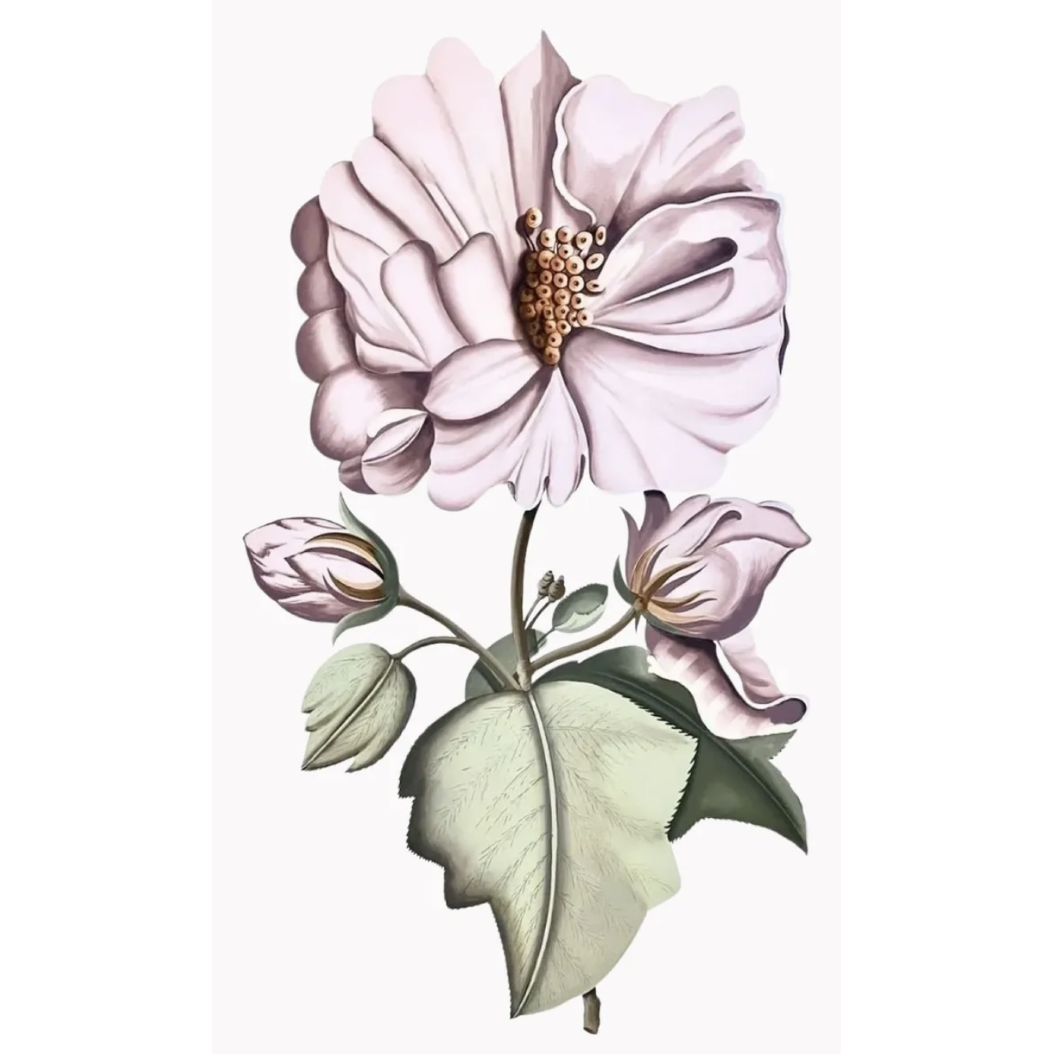 Pink Peony I - Size 36" X 60 "