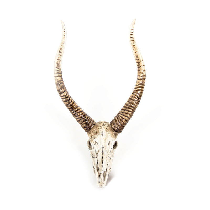 Aveline Goat Skull Wall Accent