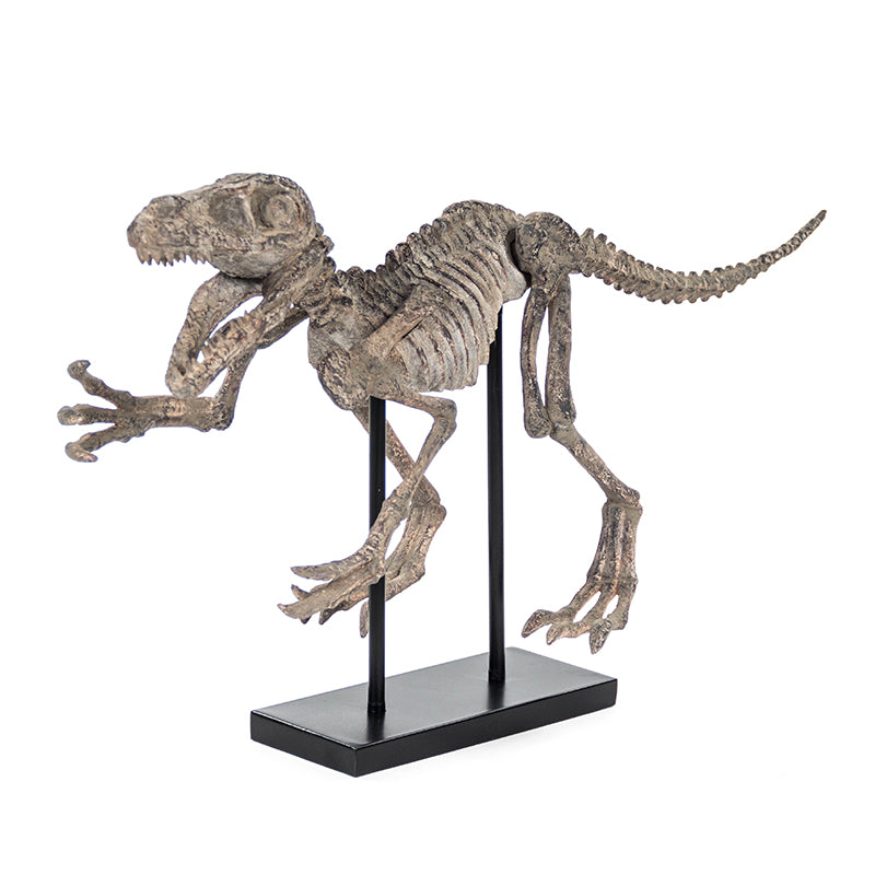 Velociraptor Skeleton with Base