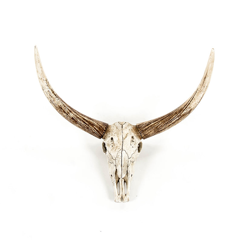 Arden Bull Skull Wall Accent