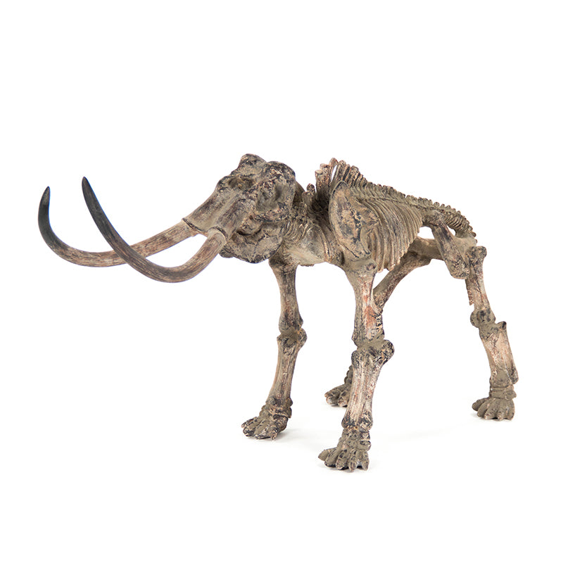 Mammoth Skeleton