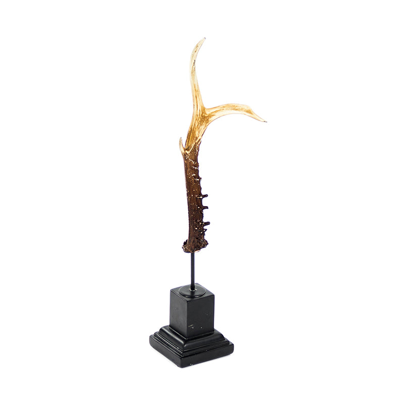 Horn Decor
