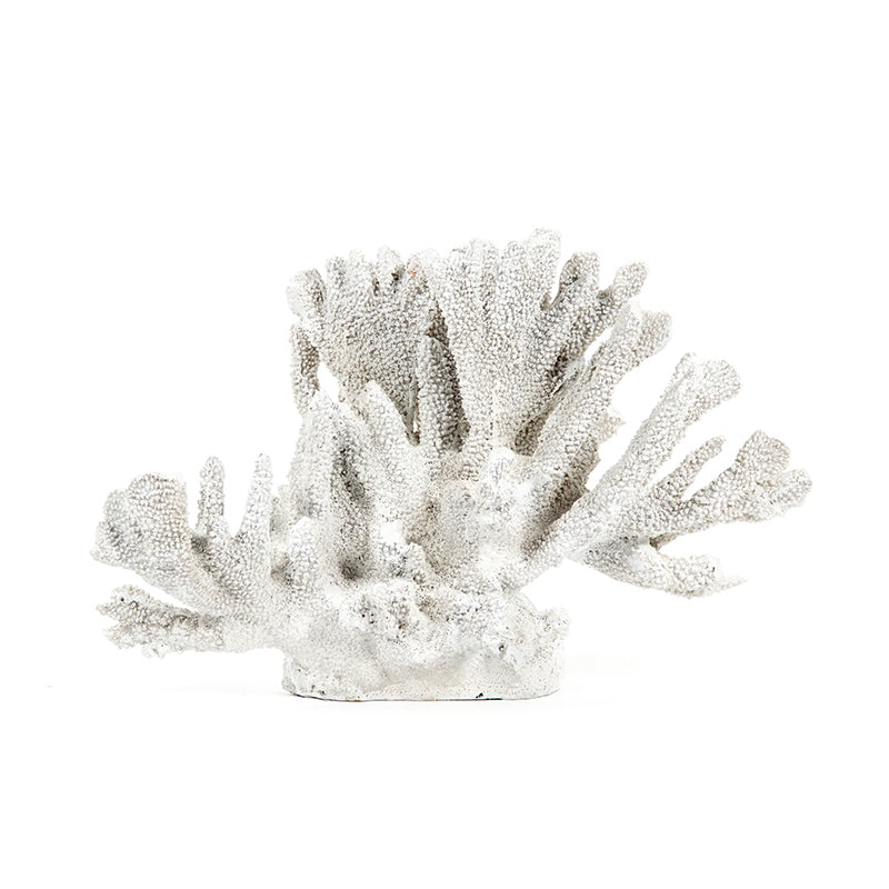 Seabrook White Coral Sculpture
