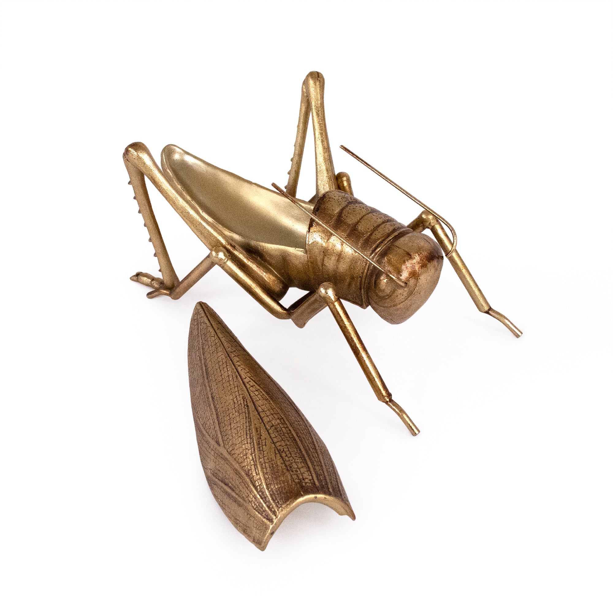 Grasshopper Accent Decor with Tray