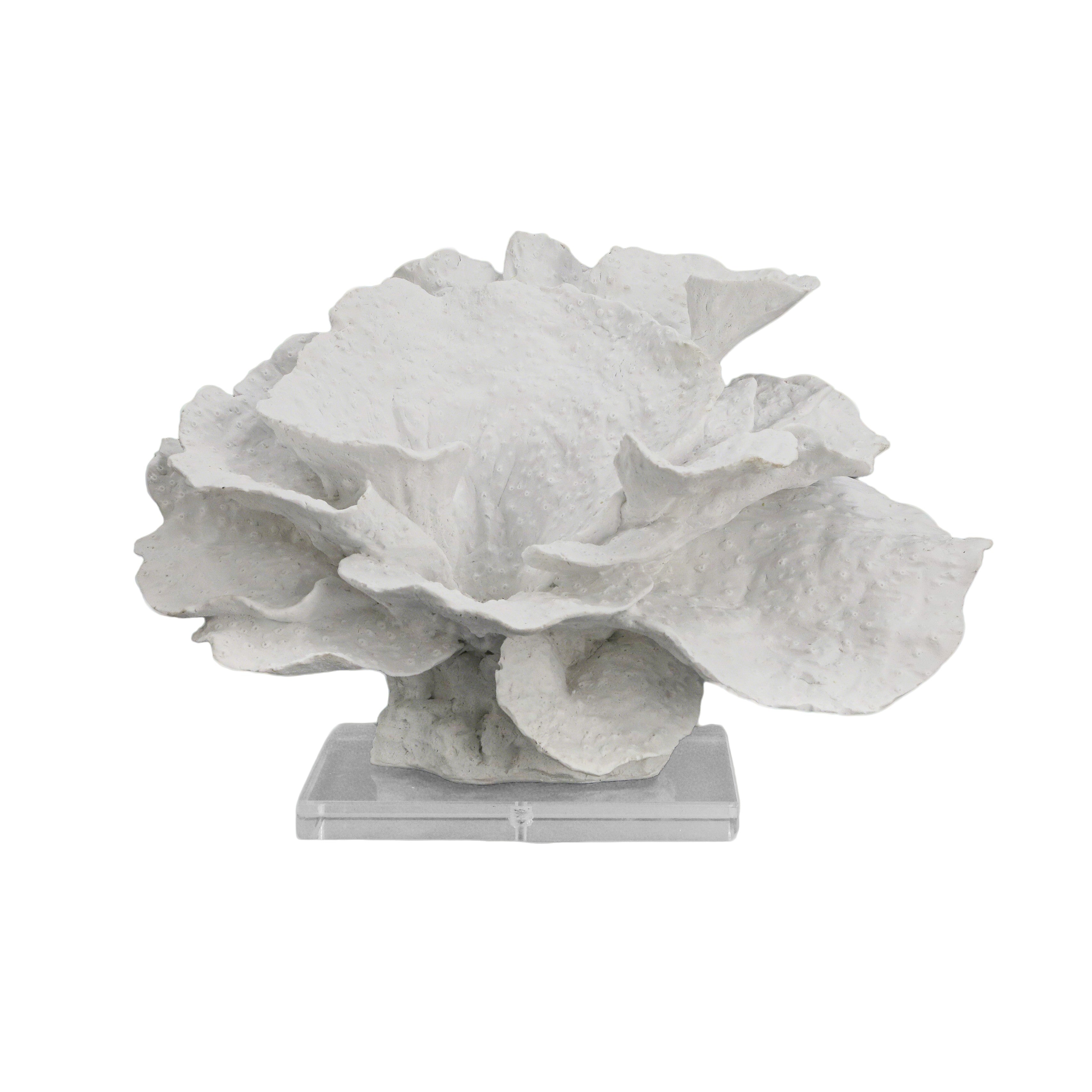 Maris Coral Sculpture
