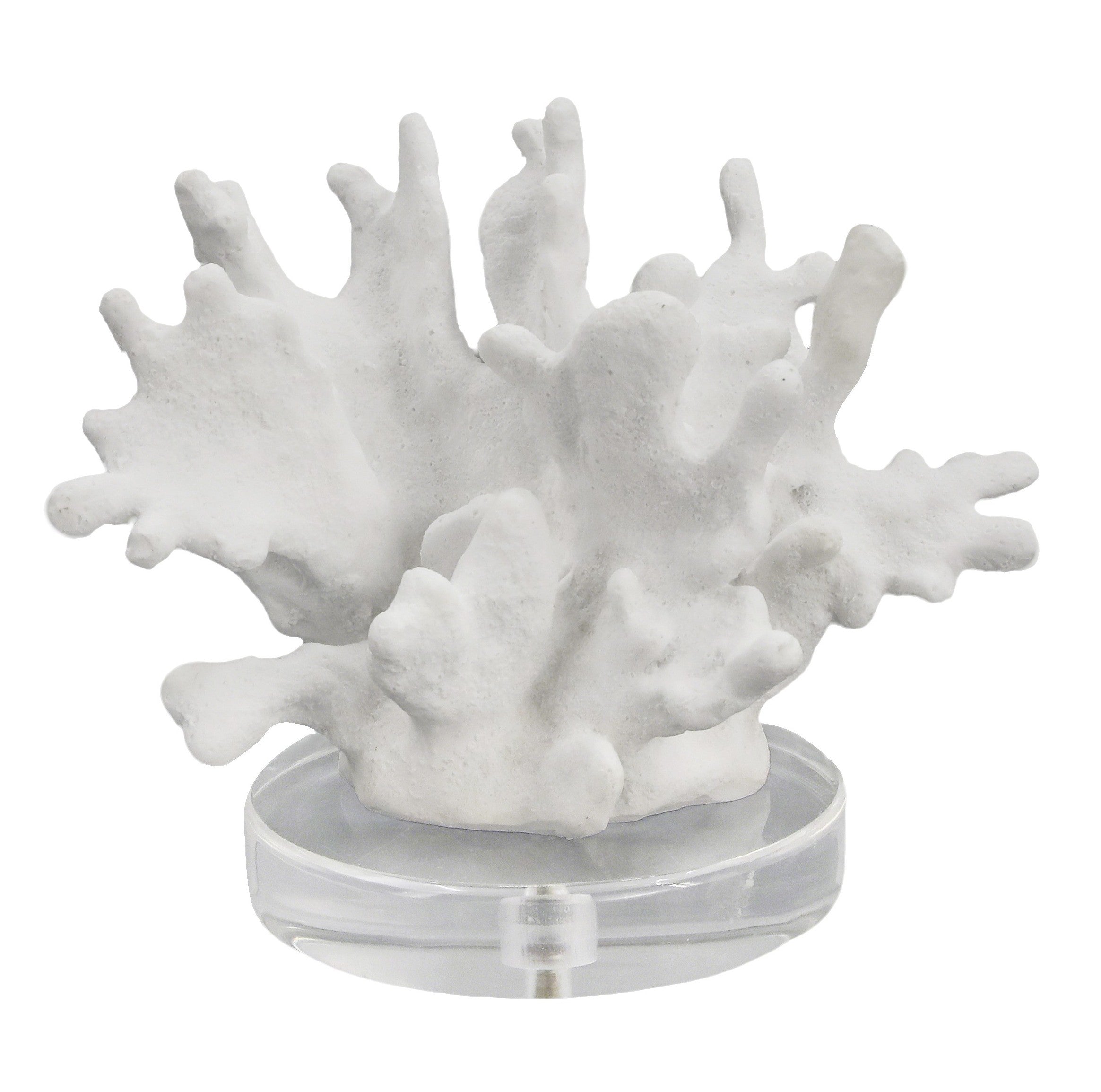 Tidecrest Coral Sculpture on Acrylic Base