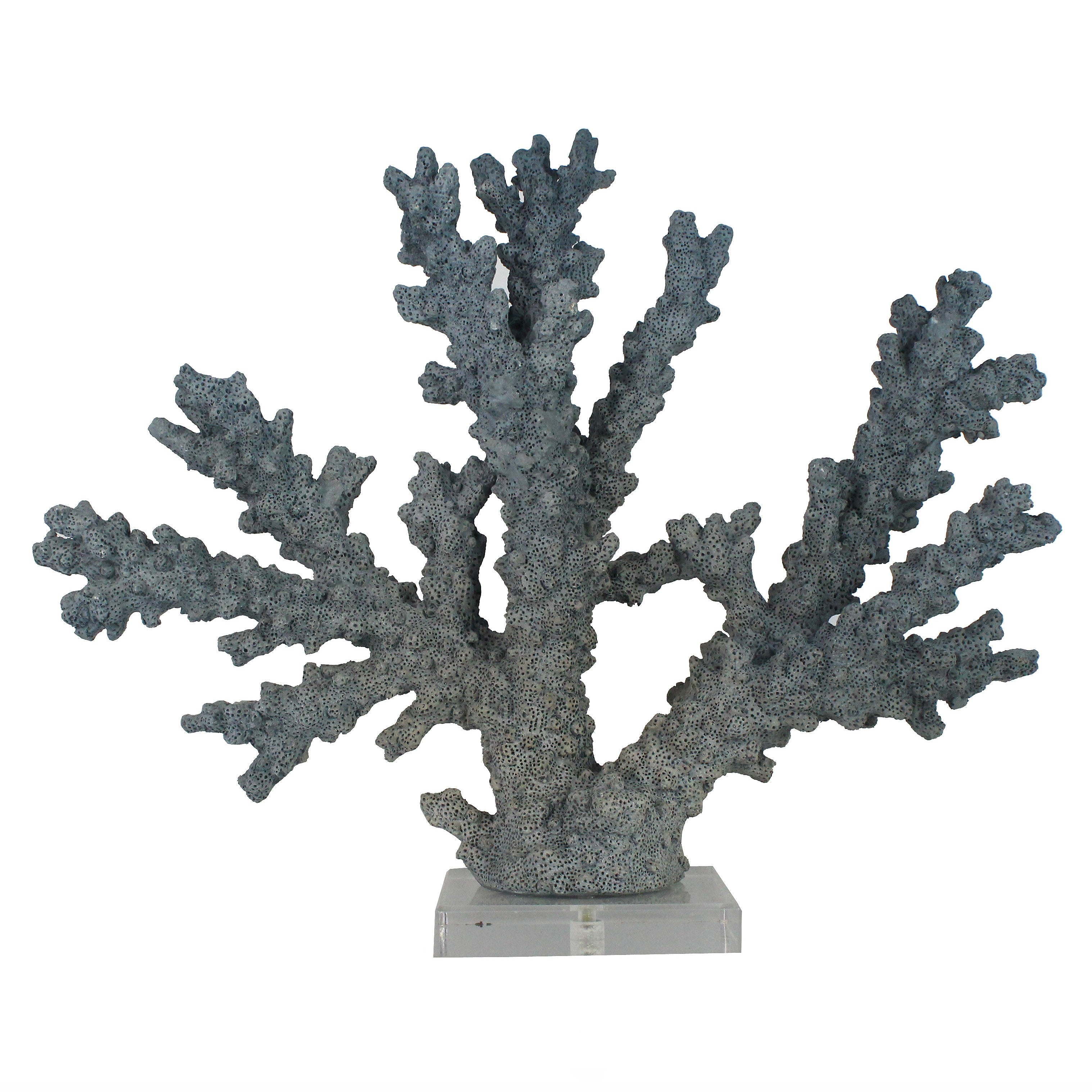 Storm Reef Coral Sculpture