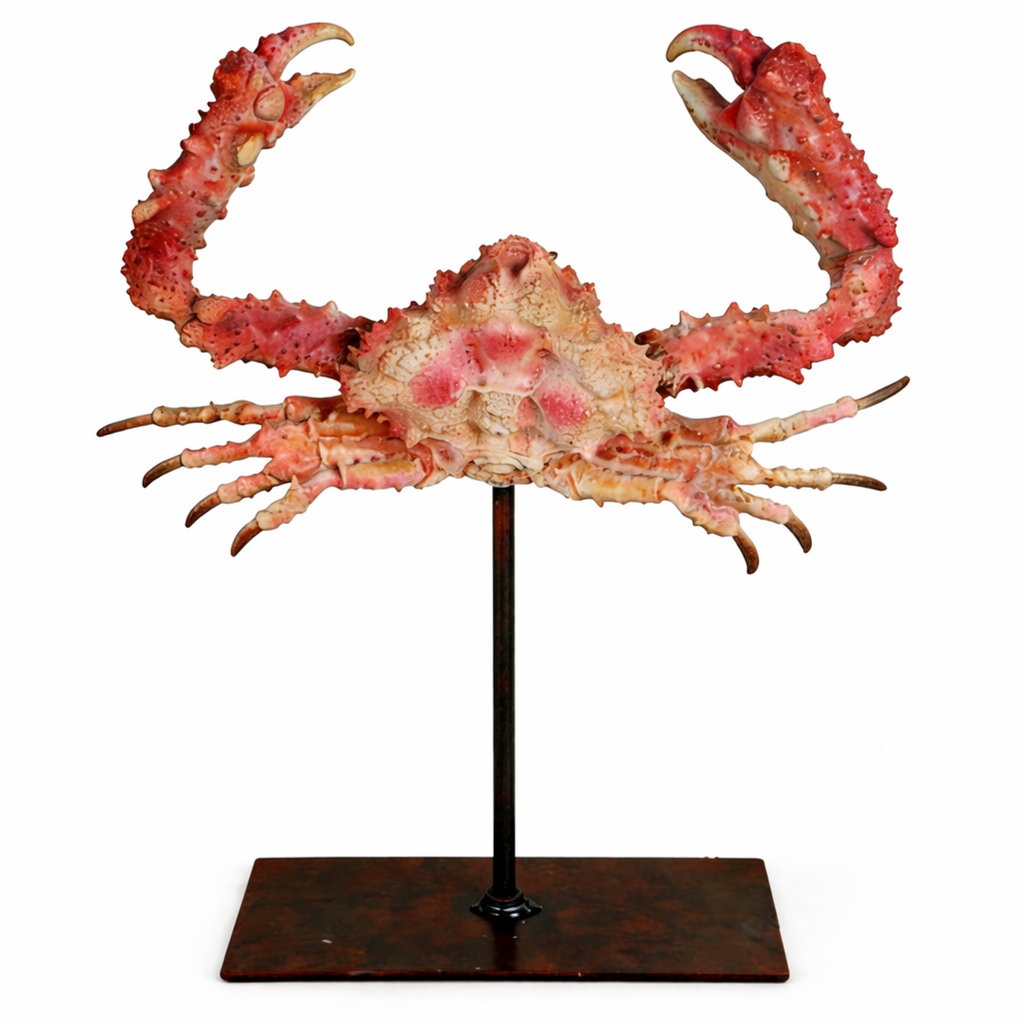 Nautical Crab Sculpture on Stand