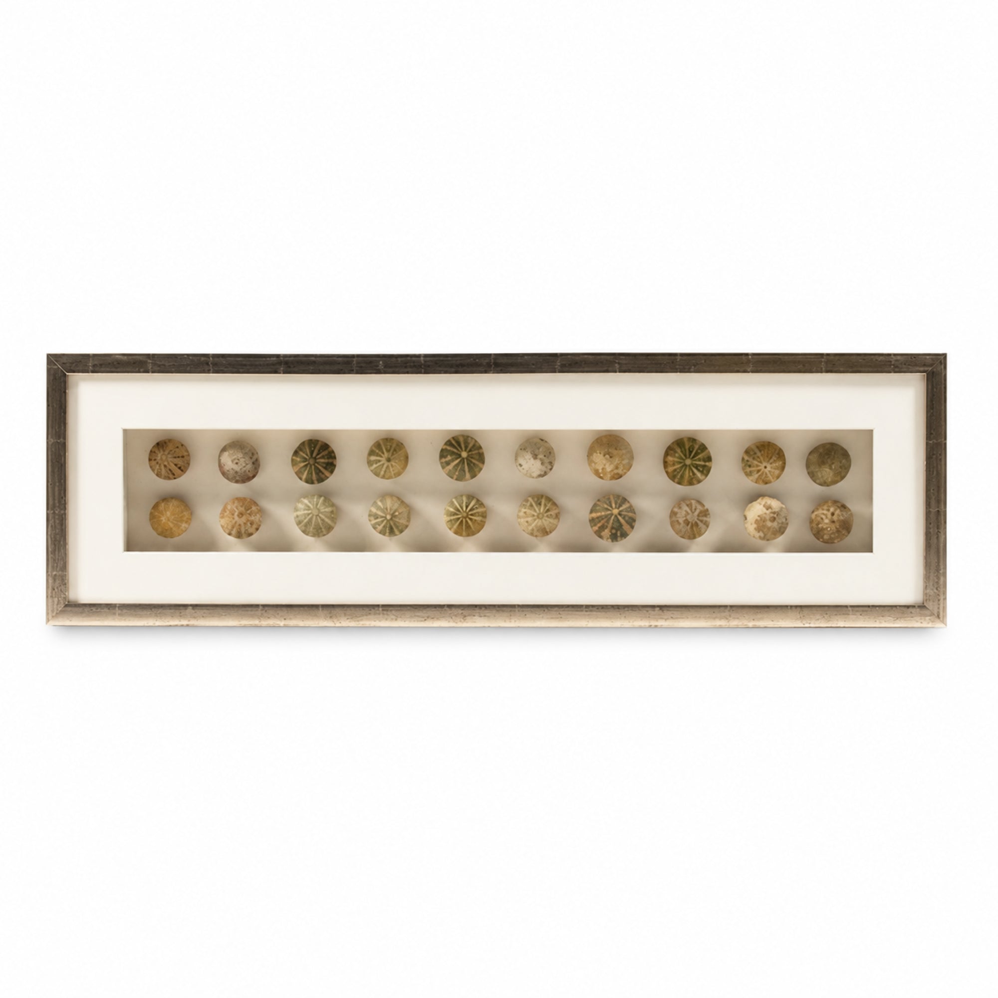 Alden Dried Gourd Shadow Box Wall Art