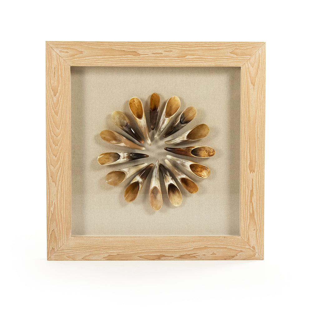 Abstract Shell Art
