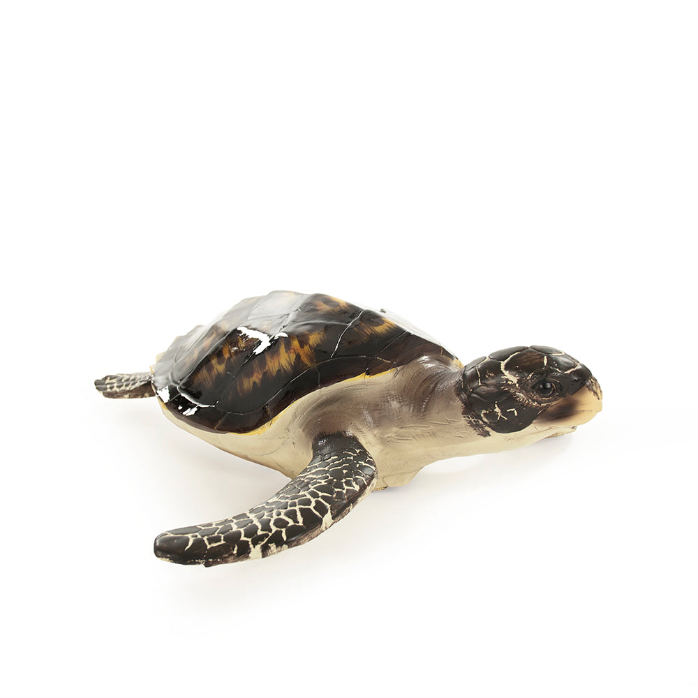 Coastal Sea Turtle Sculpture (S)