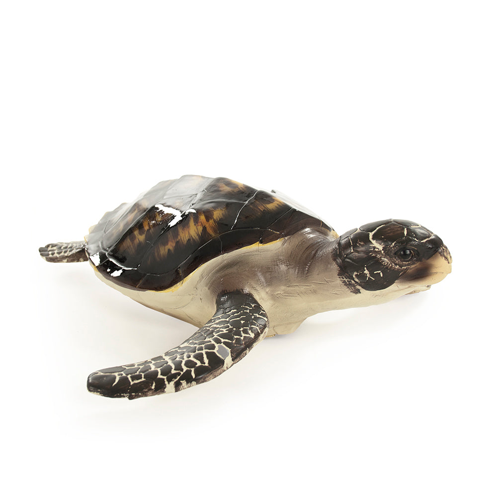 Tortoiseshell Sea Turtle Wall Accent (L)