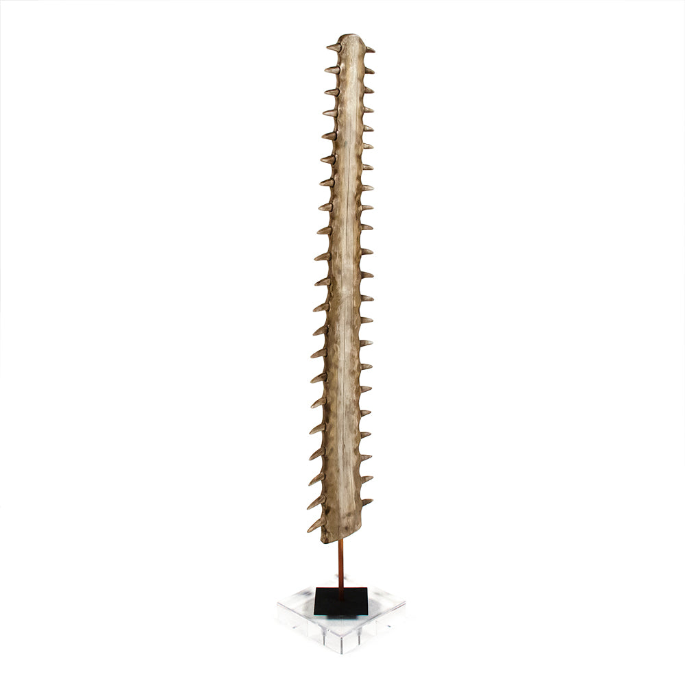Saw Shark Rostrum Resin Sculpture on Acrylic Base