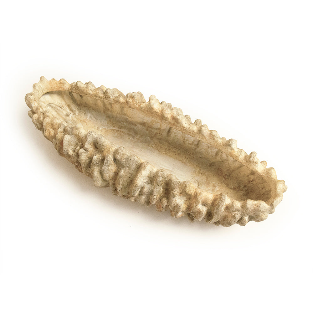 Coastal Coral Resin Decorative Bowl