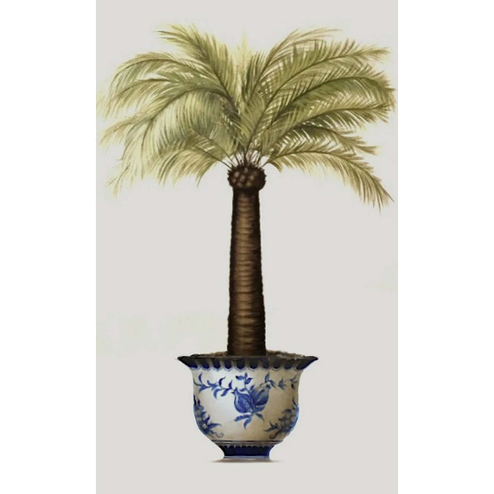 Ginger Jar Palm Tree II