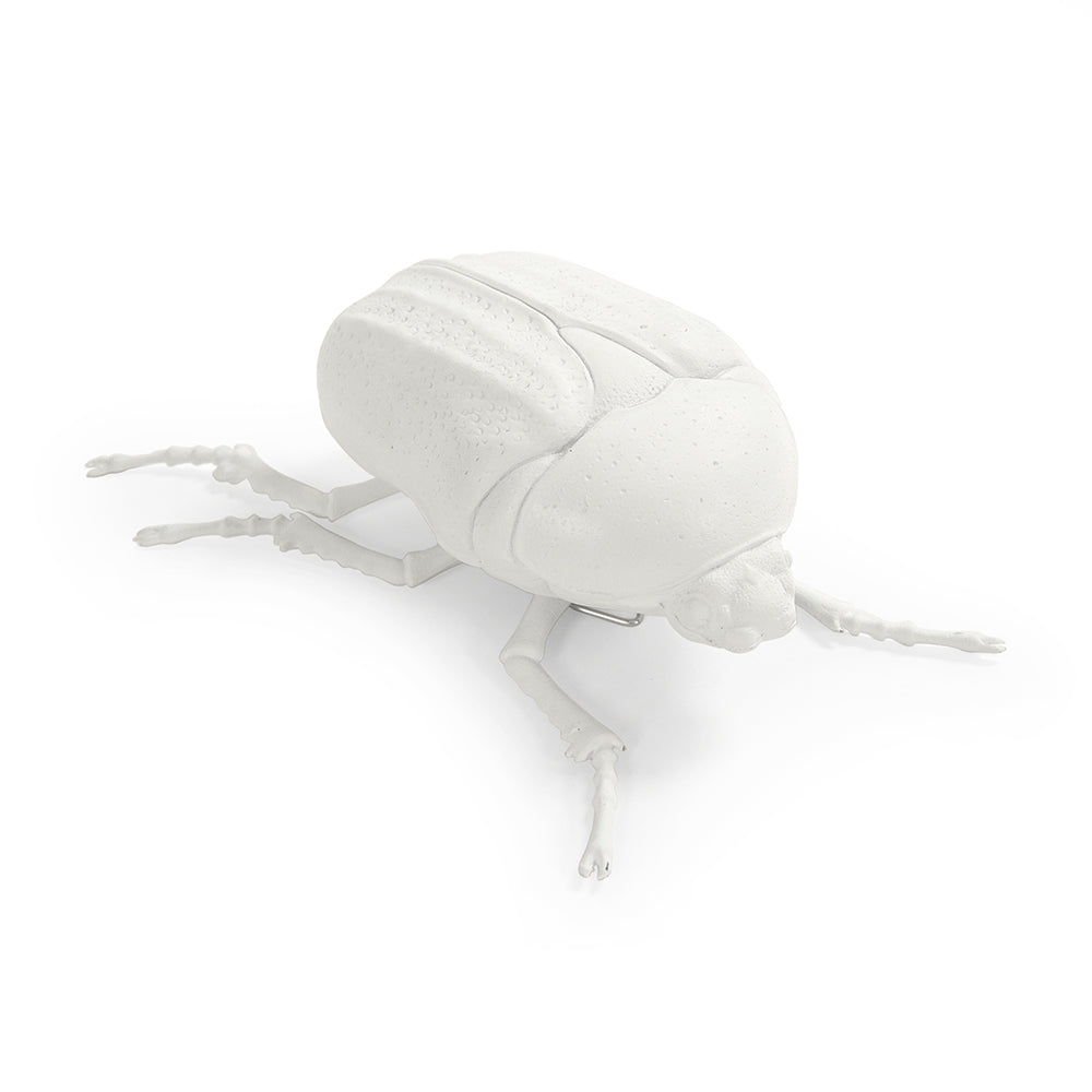 Beetle Wall Art