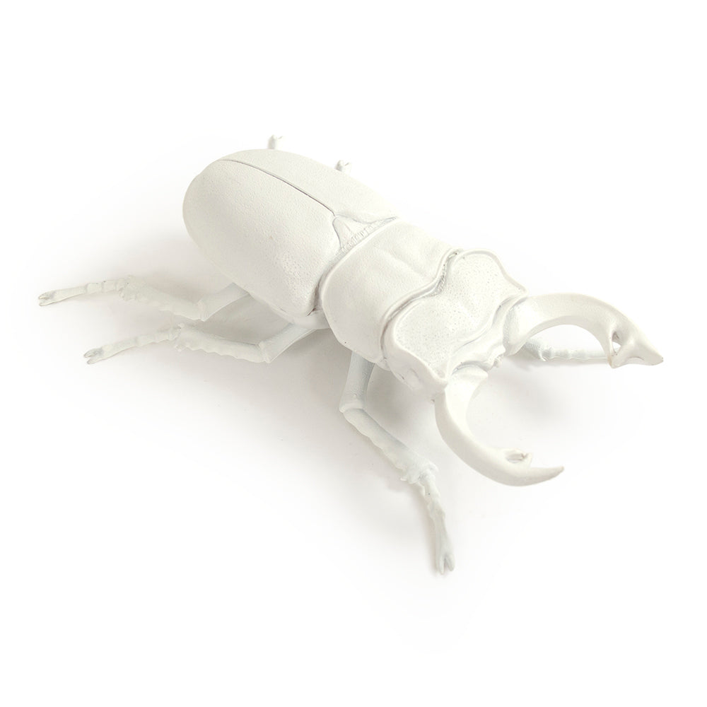 Beetle Wall Art