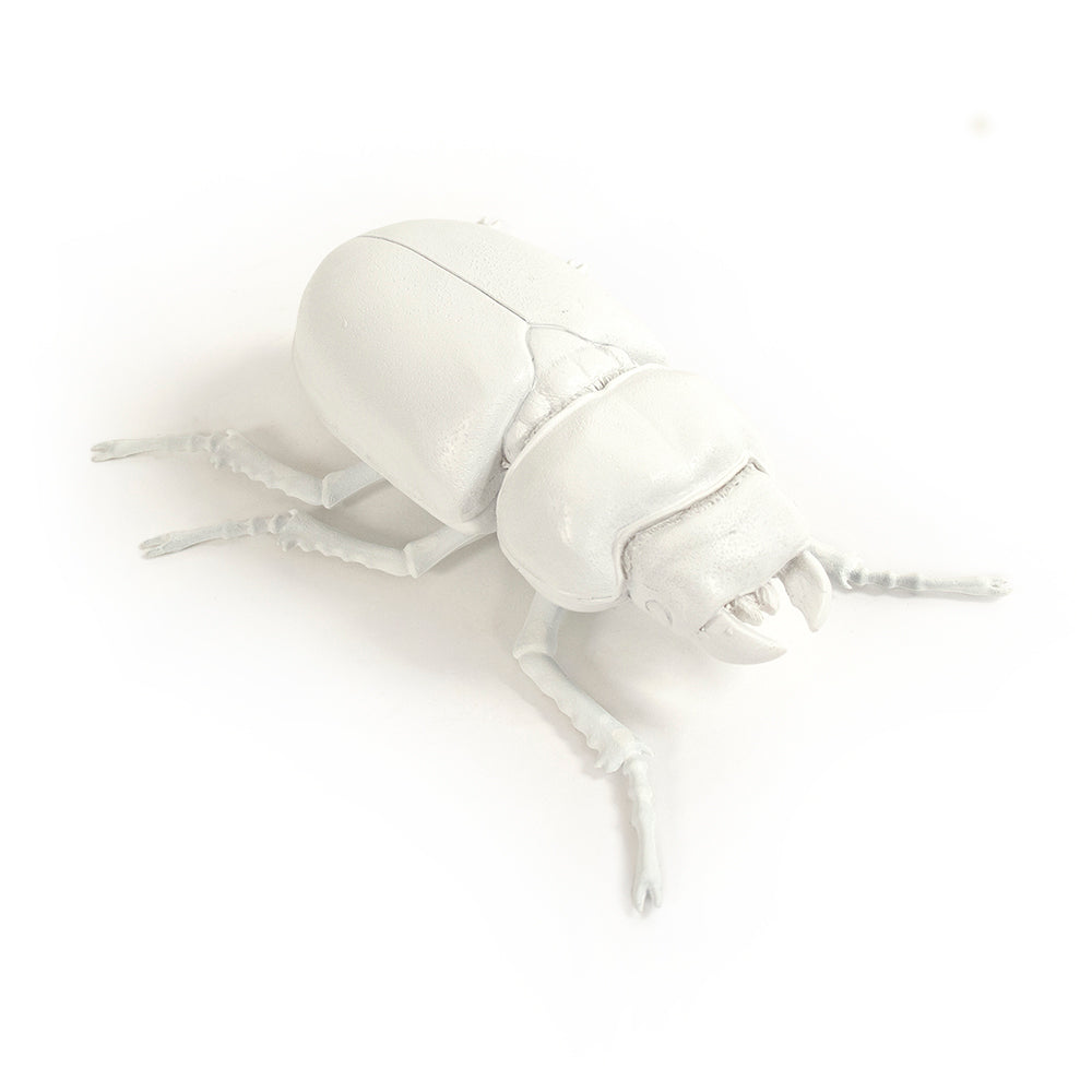 Beetle Wall Art