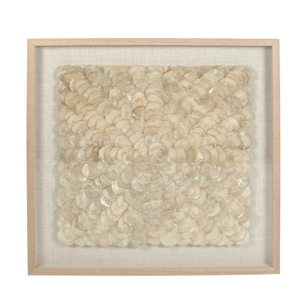 Solenne Layered Shell Shadow Box Wall Art