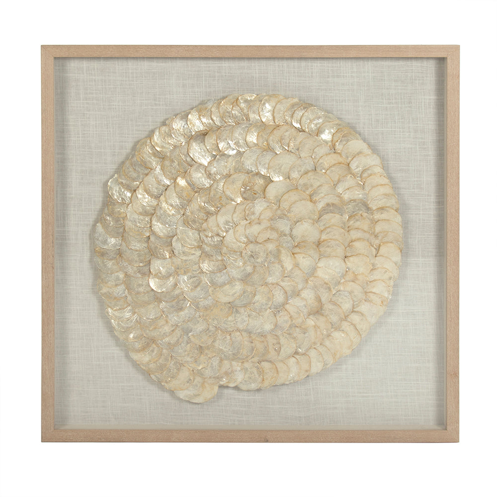 Abstract Shell Art