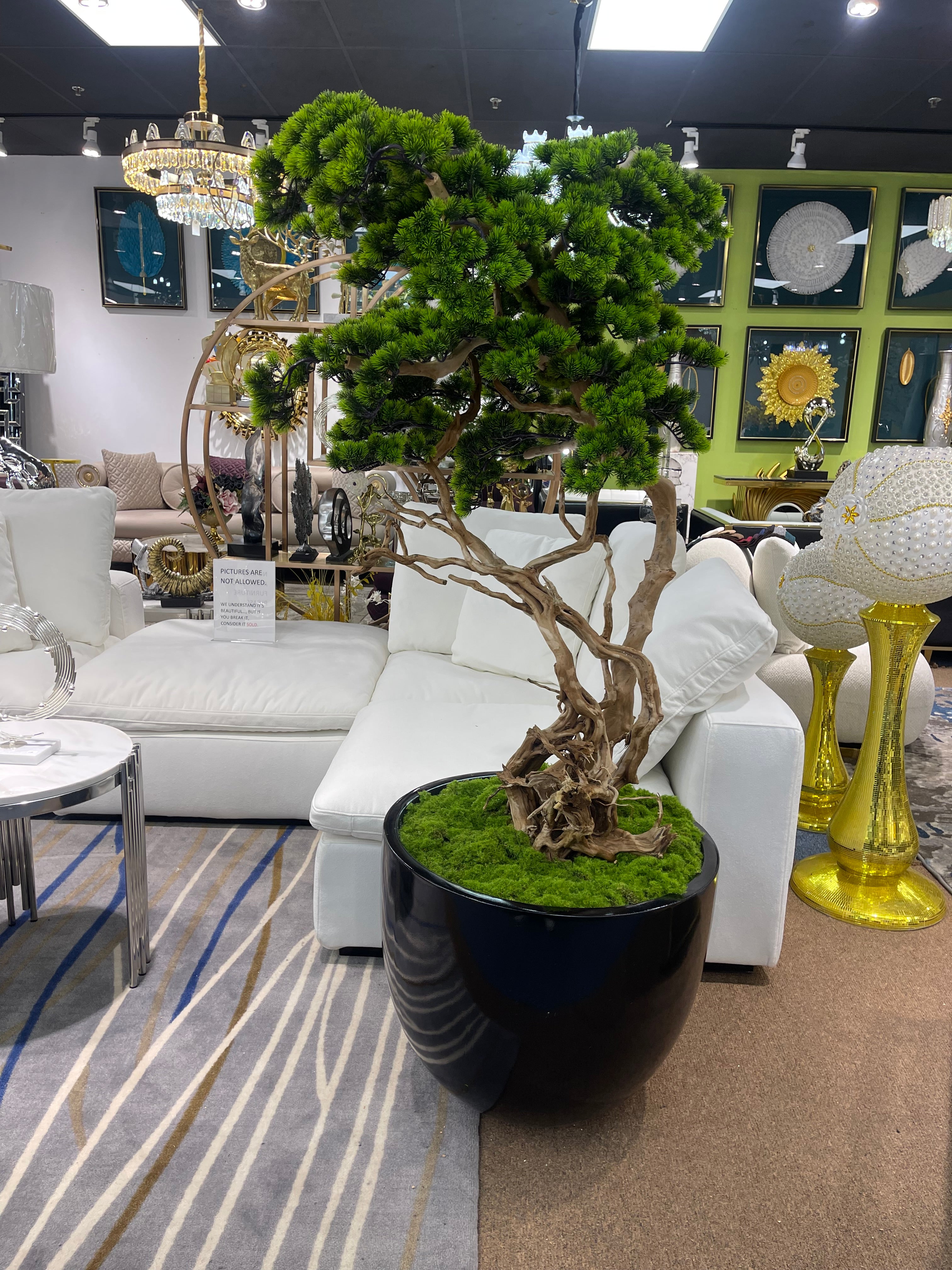 Artifical Bonsai Tree and A Black Vase