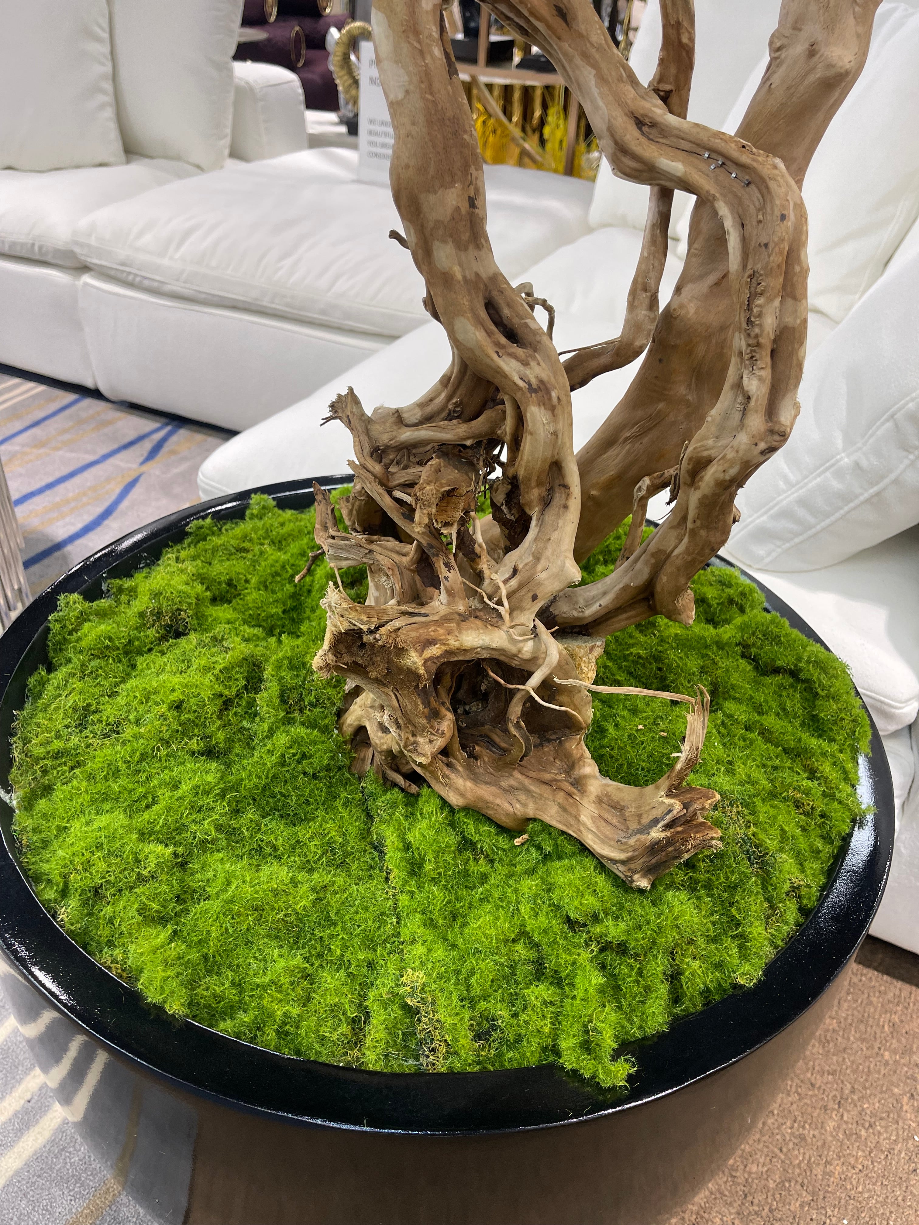 Artifical Bonsai Tree and A Black Vase