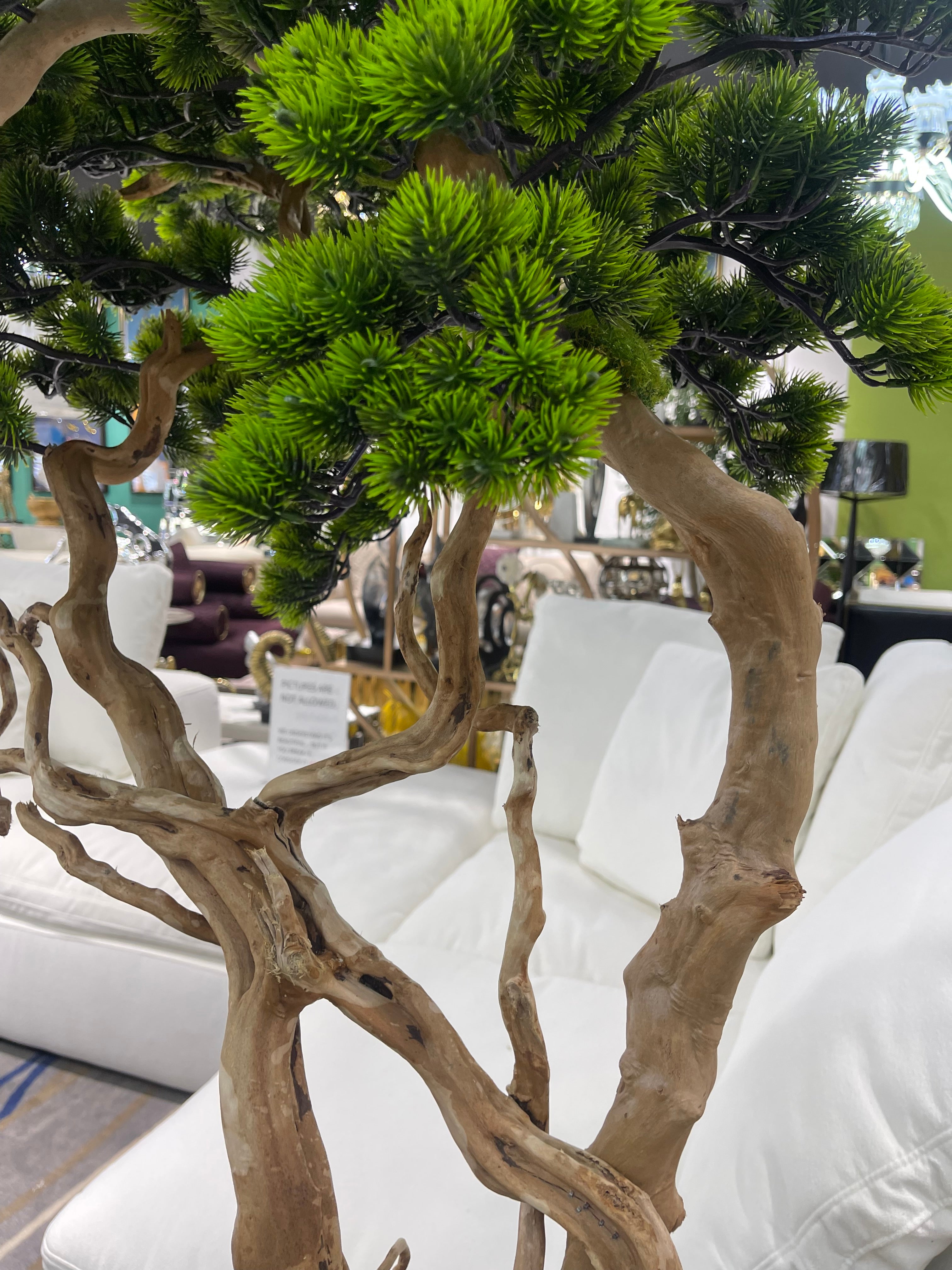 Artifical Bonsai Tree and A Black Vase
