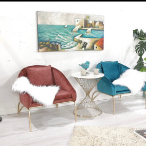 RED AND BLUE ACCENT CHAIRS